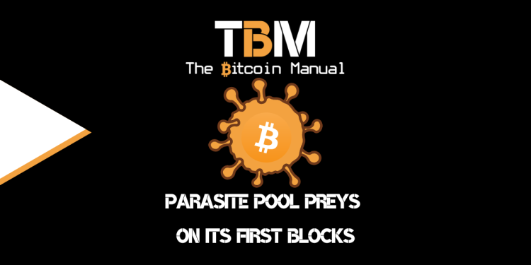 Parasite Pool Preys On Its First Blocks