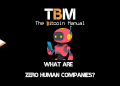 What Are Zero Human Companies?