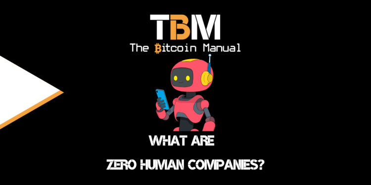 What Are Zero Human Companies?