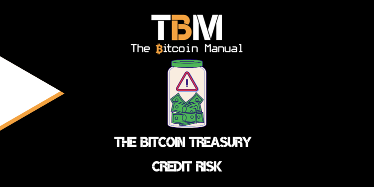 What Is Bitcoin Treasury Company Credit Risk?