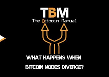What Happens When Bitcoin Nodes Diverge?