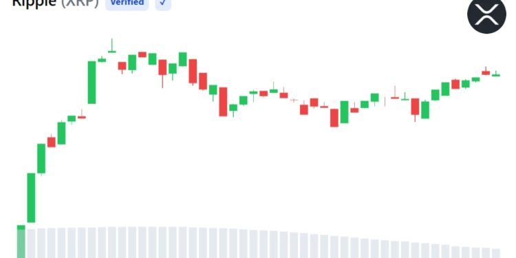 XRP Active Addresses Hit 2-Month High as Sentiment Turns Bearish