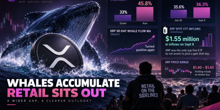 XRP Price Prediction: Whales and Retail Traders Are Taking Opposite Sides
