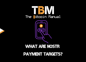 What Are Nostr Payment Targets?