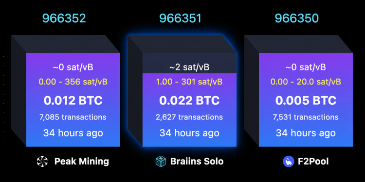 Solo Bitcoin Miner Hits $244K Jackpot After Nearly 40-Day Drought